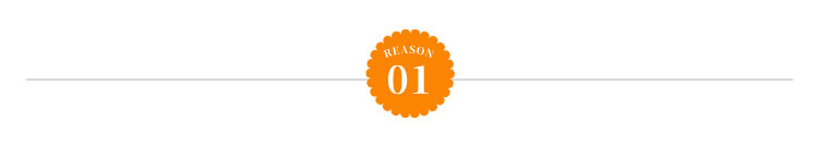 reason1_pc